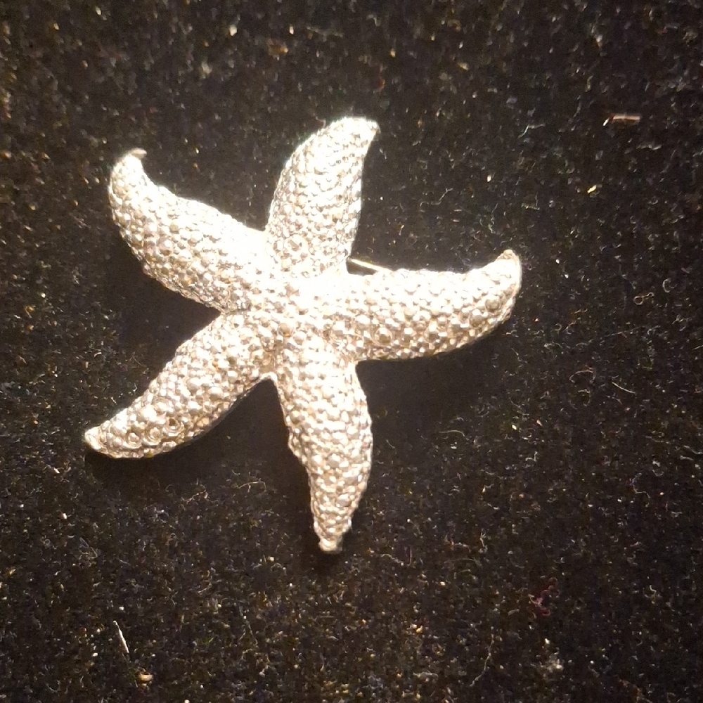 Silver Starfish Brooch